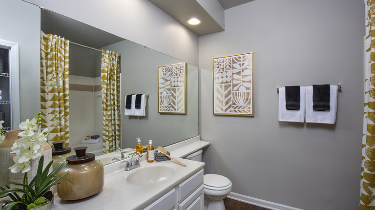 Secondary Bathroom with Spacious Vanity