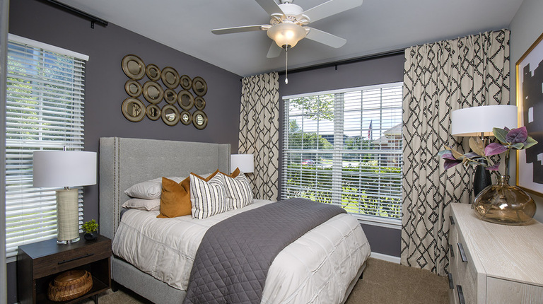 Primary Bedroom with Ample Natural Light