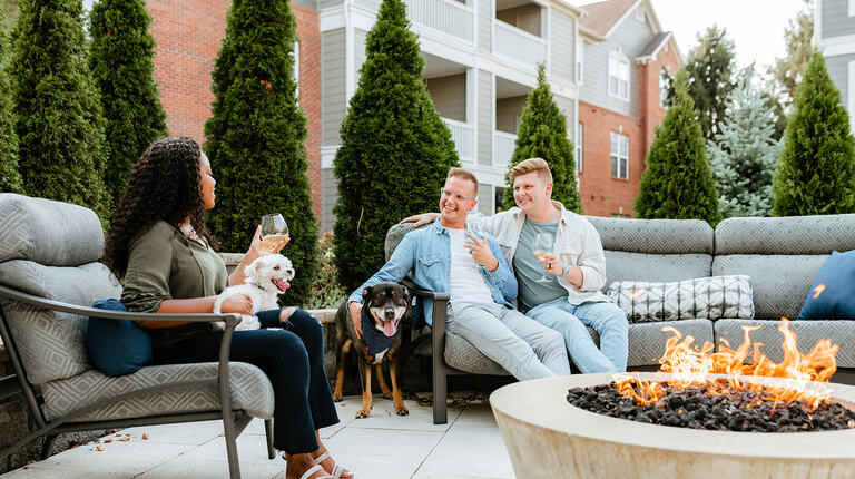 Pet-Friendly Lounge Areas